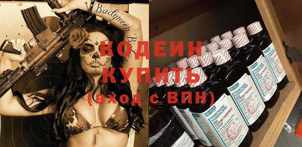 хмурый Горно-Алтайск