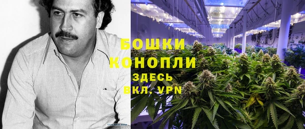 PSILOCYBIN Кукмор