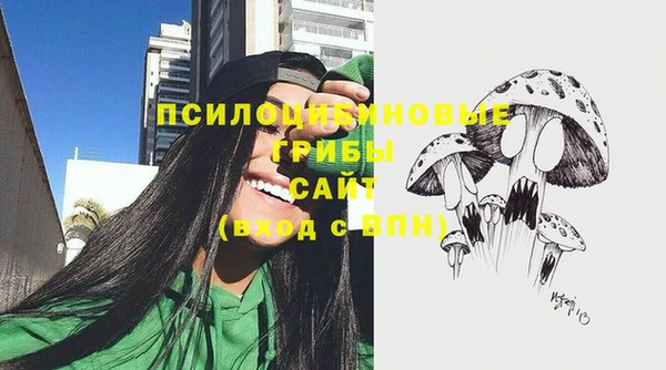 стаф Гусь-Хрустальный